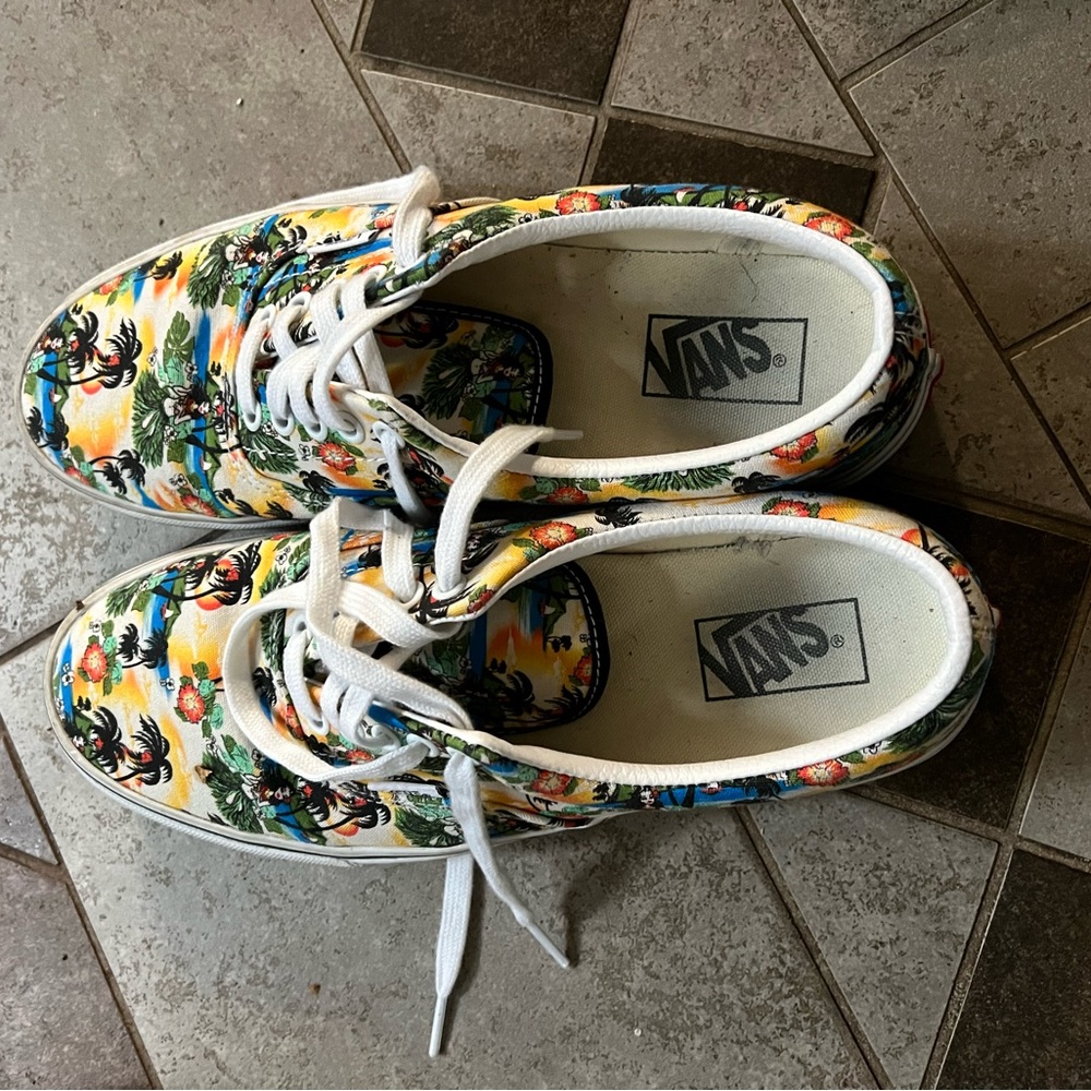 Men’s Vans shoe. Size 9.5.